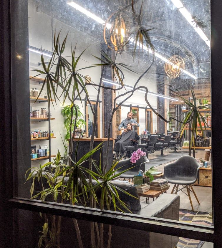Looking into the salon through the window greenery