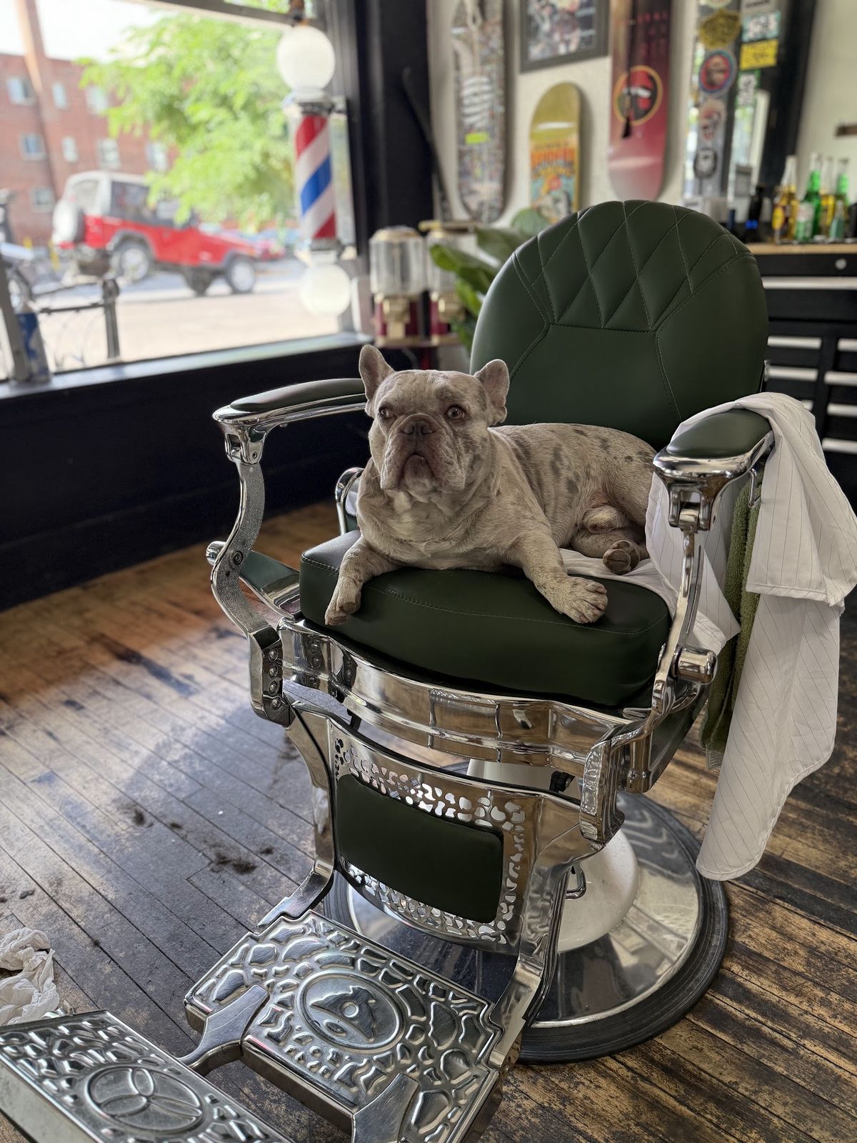 The vintage green chair at Ralph's, held down by the shop dog