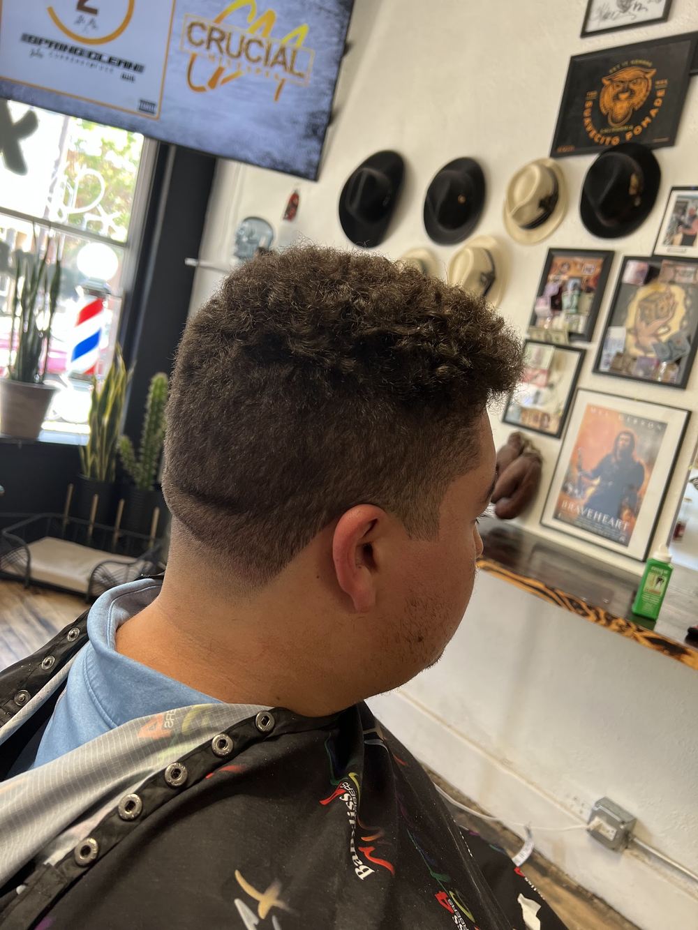 A fresh cut under the shop art wall